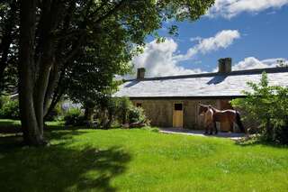 Отель Castlemartyr Resort Hotel Корк Отдельная каюта-2